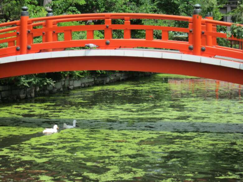 神泉苑の朱色の法成橋